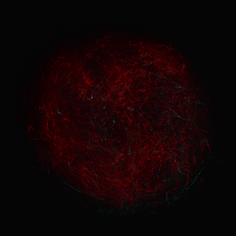 balls in vector fields #63 static token preview