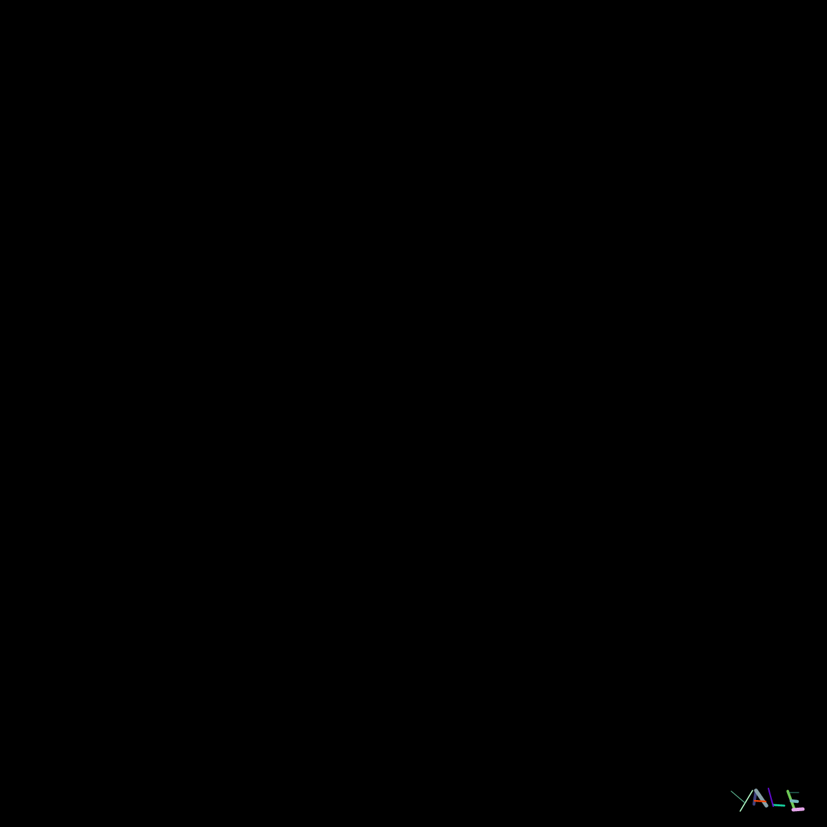 Black #10 static token preview