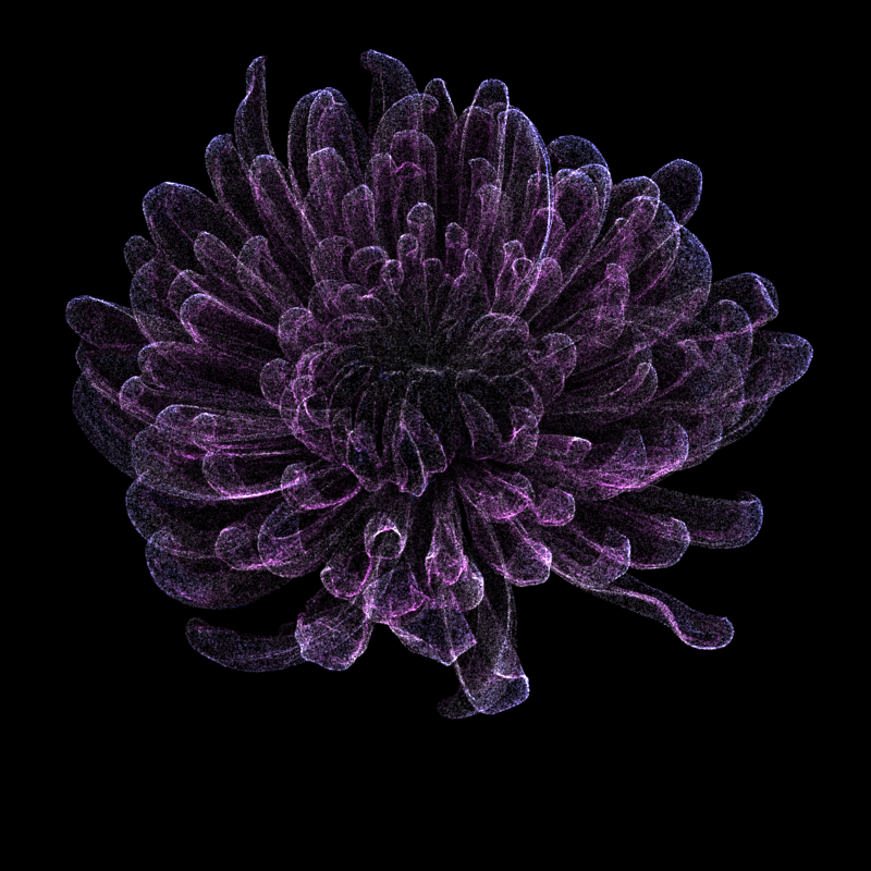 Chrysanthemum Morifolium 30 #72 static token preview