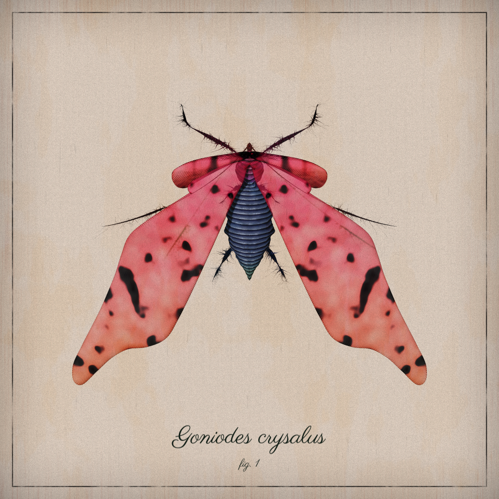 ProcGen Entomology #306 static token preview