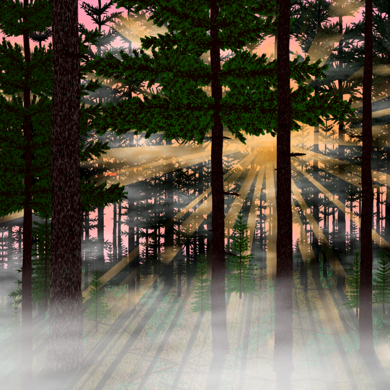 Forest Sunrise #23 static token preview