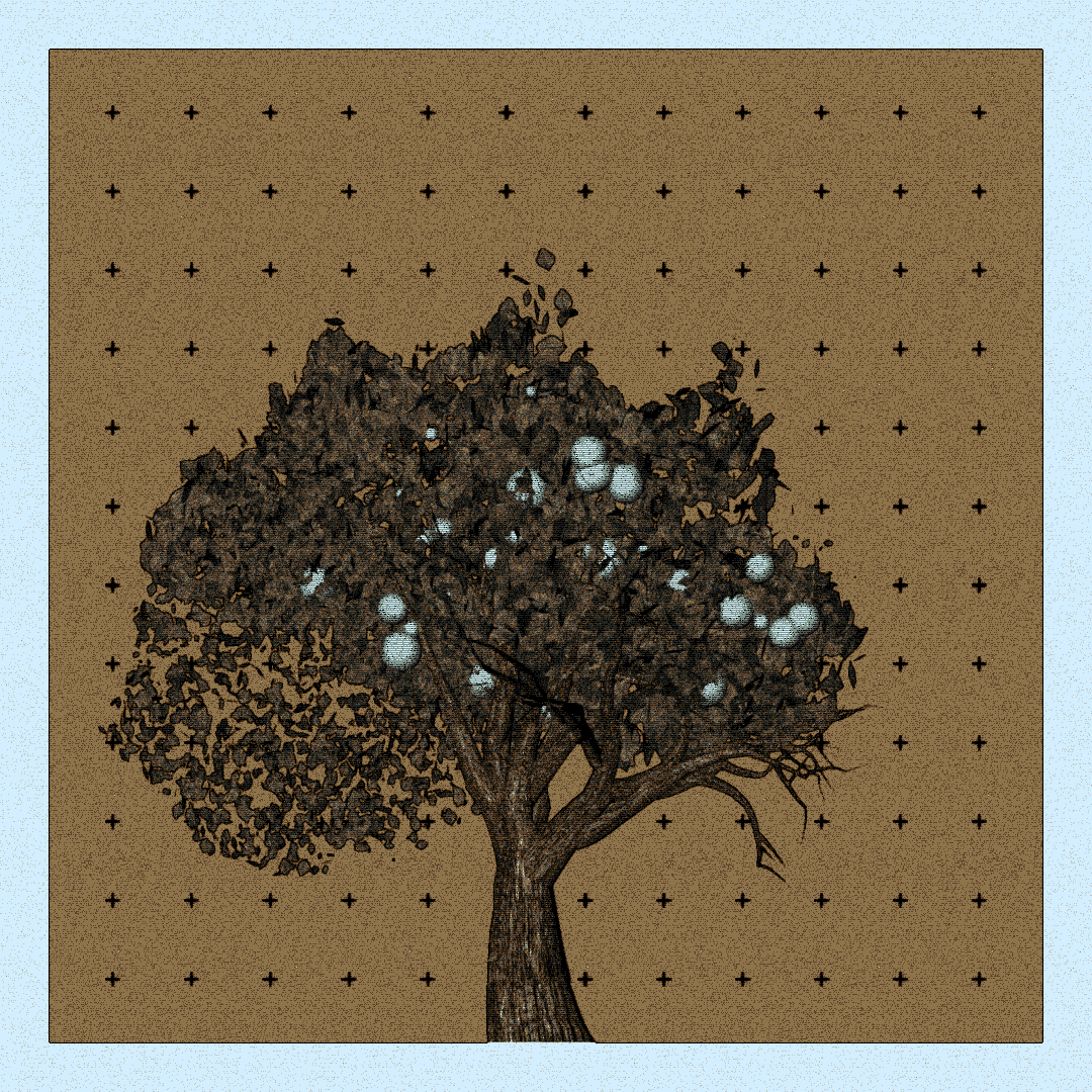 _argania[primaria] #279 static token preview