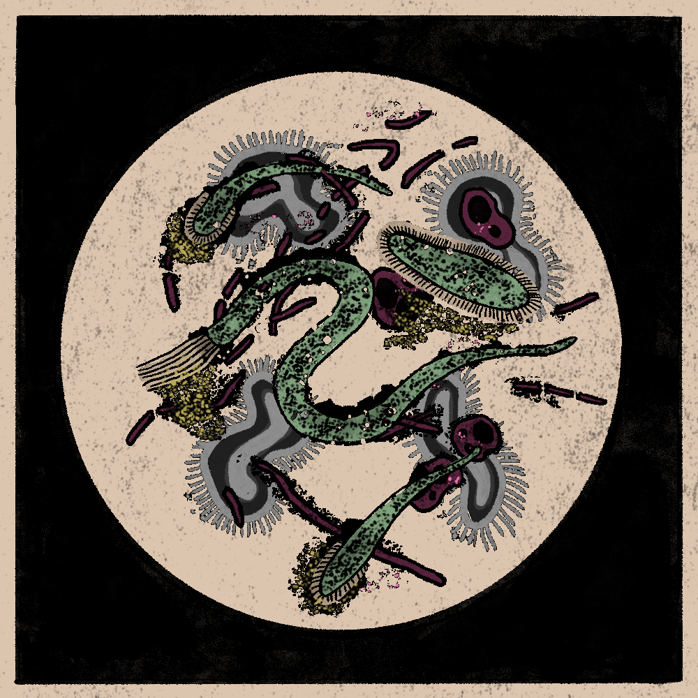 Microbes #58 static NFT preview