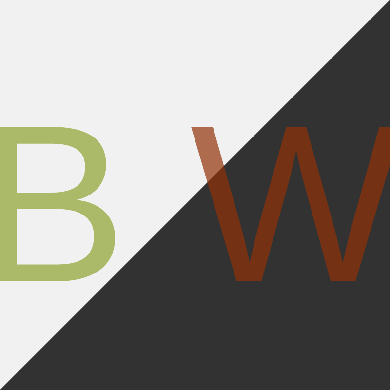 B W #31 static token preview