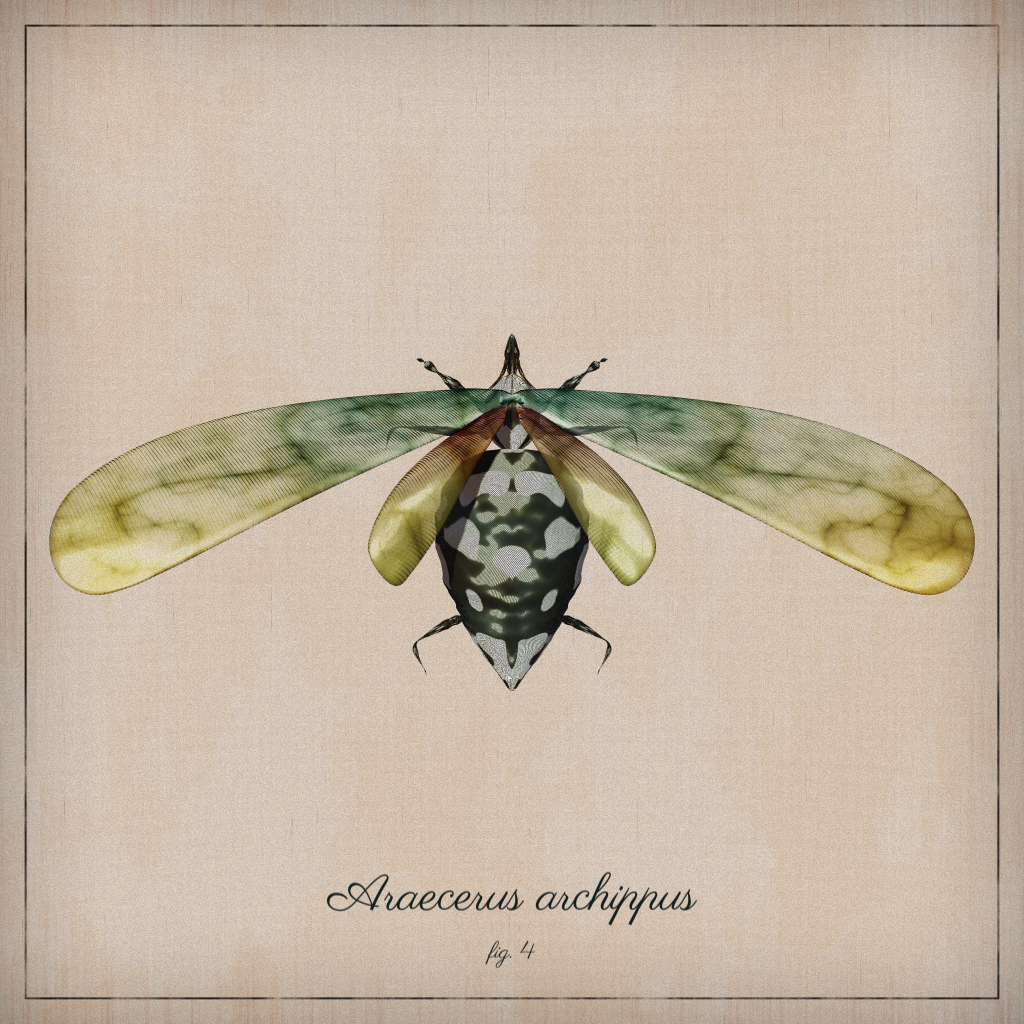 ProcGen Entomology #148 static NFT preview