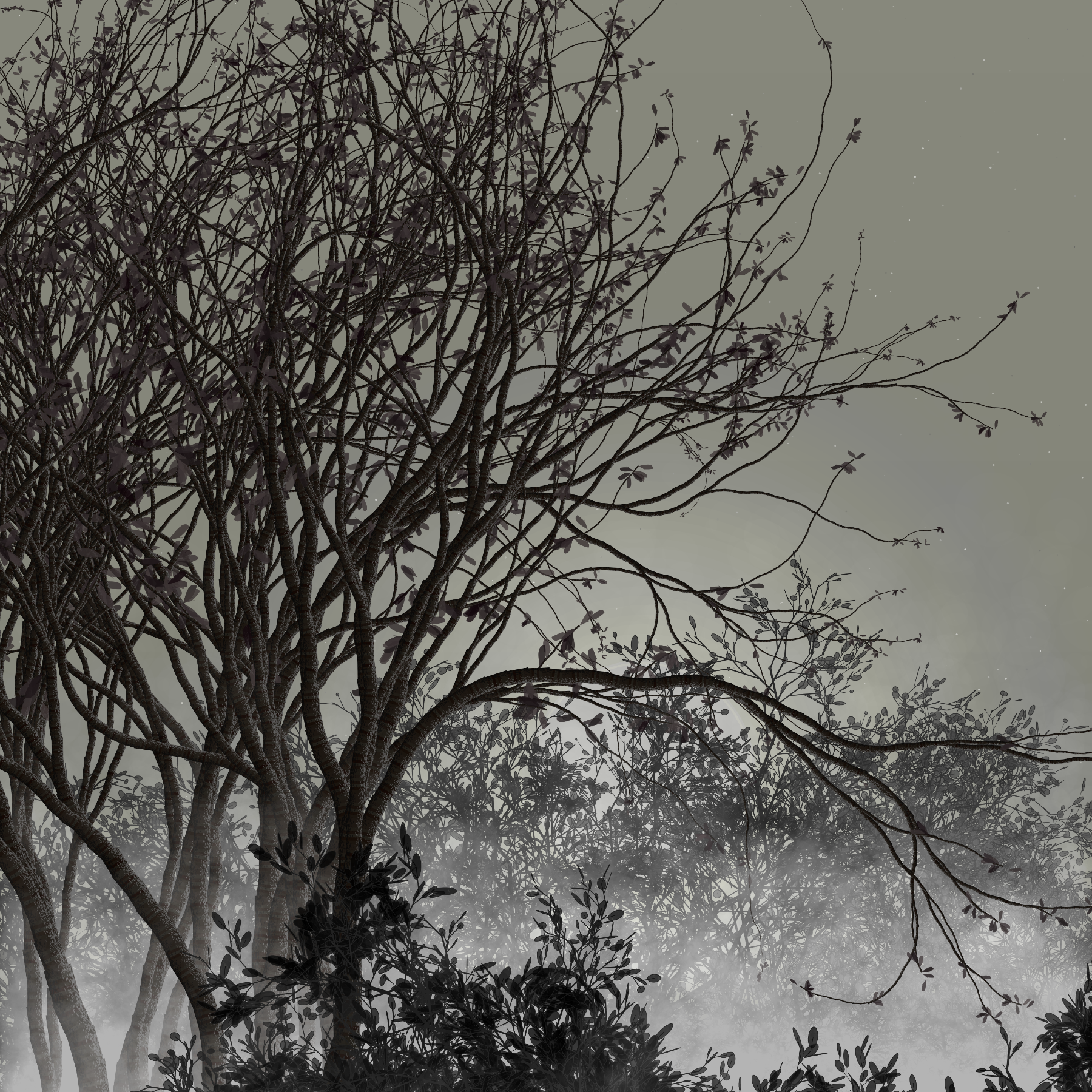 Morning Mist #323 static token preview