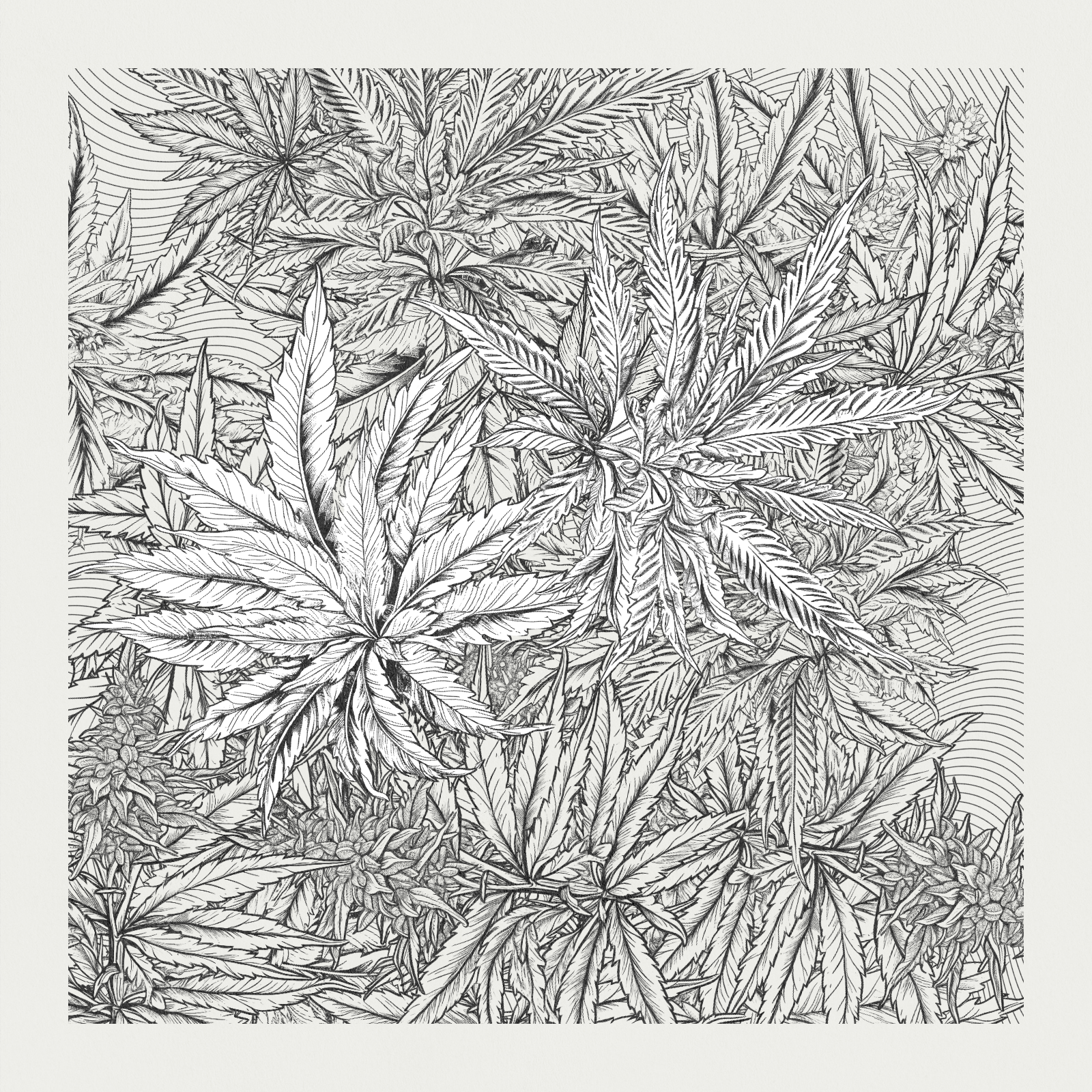 zancannabis #69 static NFT preview