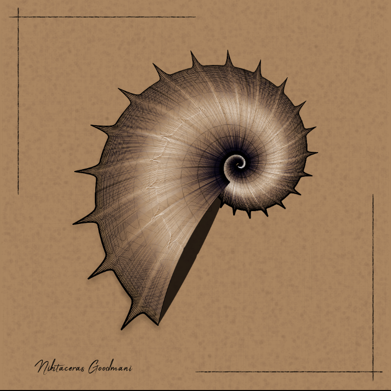 Ammonites #83 static NFT preview