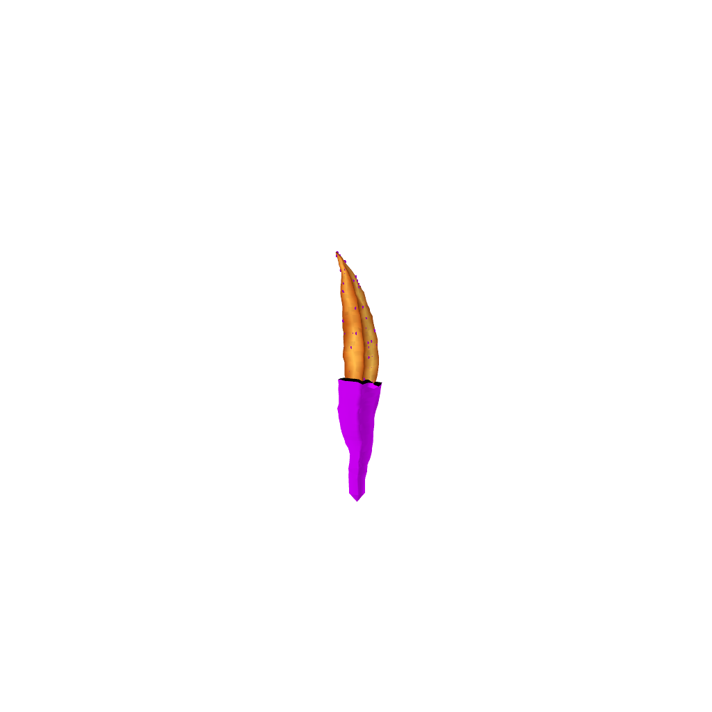 PotatOSTX #249 static NFT preview