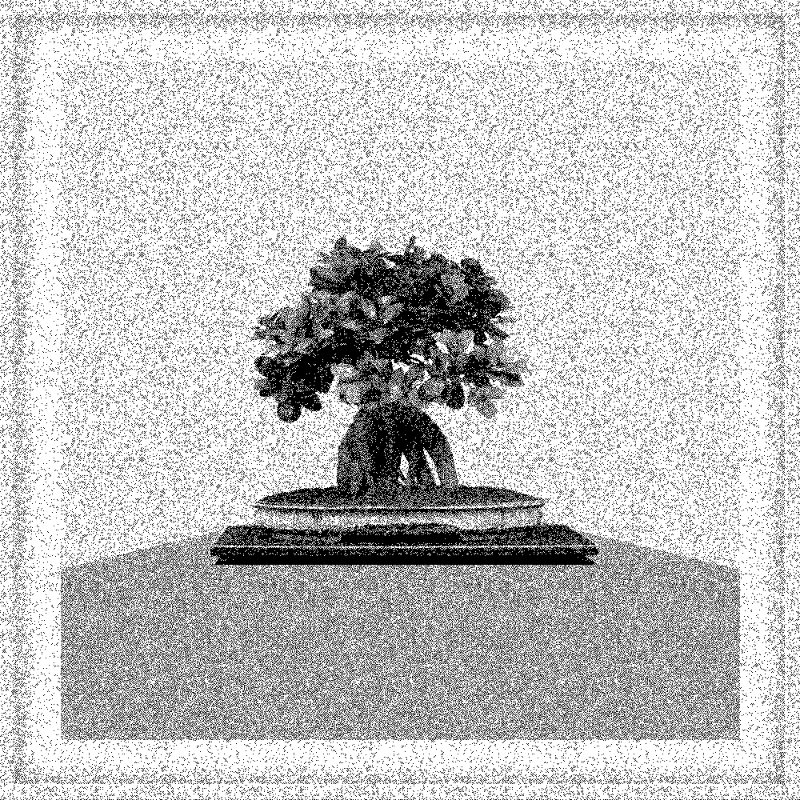 Bonsai Bonanza #466 static token preview