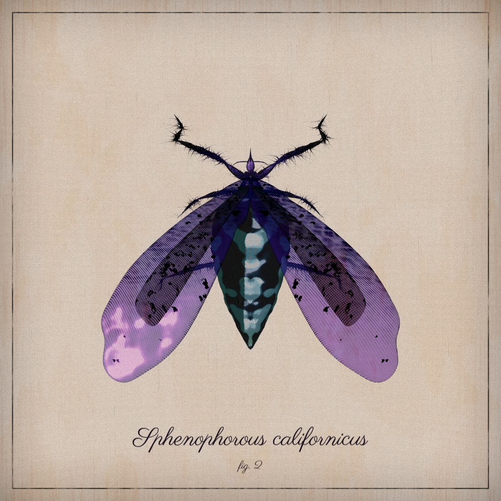 ProcGen Entomology #231 static NFT preview