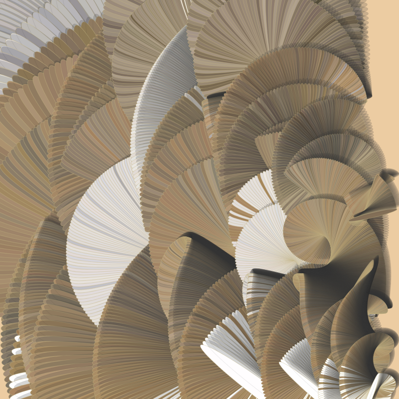 Seashells #114 static token preview