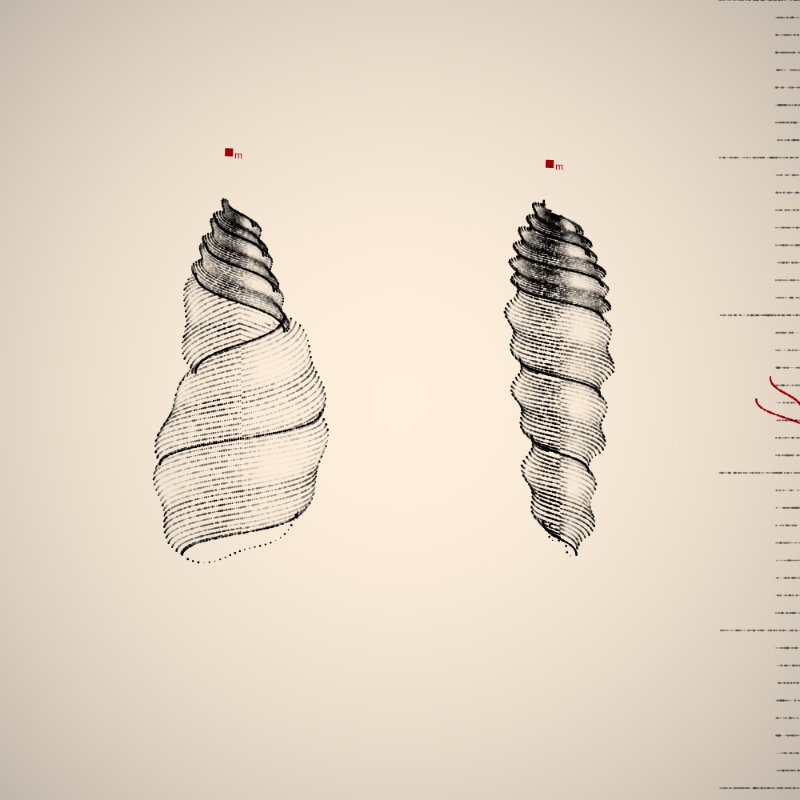 Two Specimen #289 static NFT preview