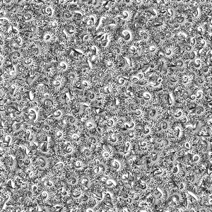 Fantacy Carpet project preview
