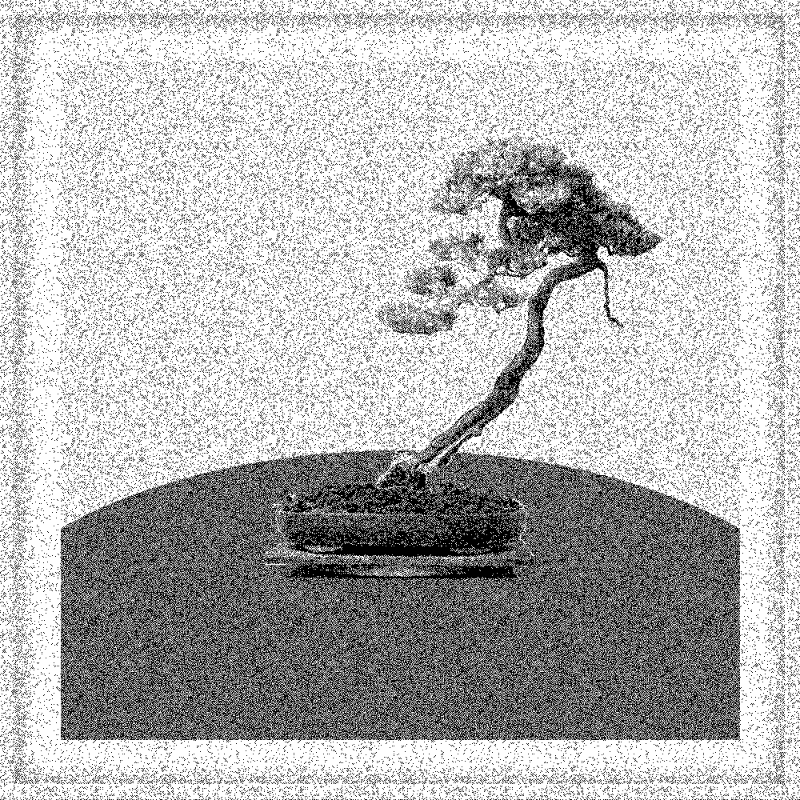 Bonsai Bonanza #660 static token preview