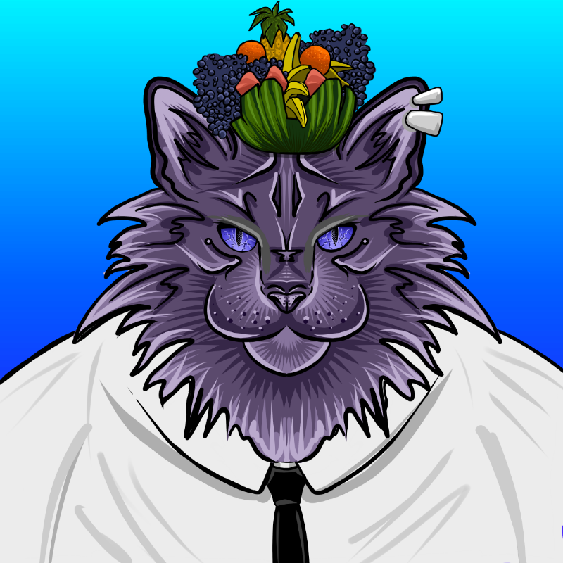fxCat #30 static NFT preview