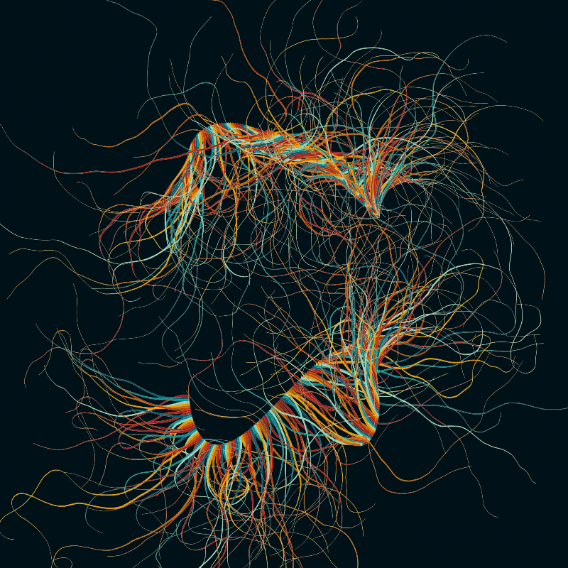 365 Tentacles #314 static NFT preview