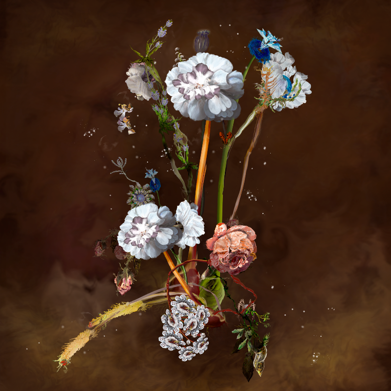 Generative Still Life: Still Life 17.0 #65 static NFT preview