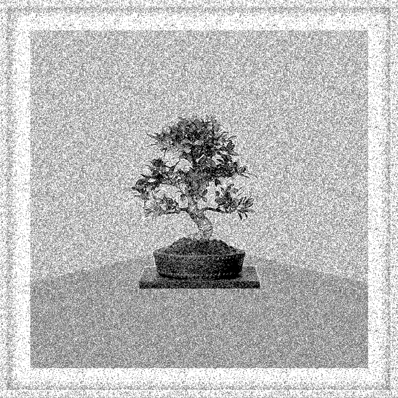 Bonsai Bonanza #148 static token preview