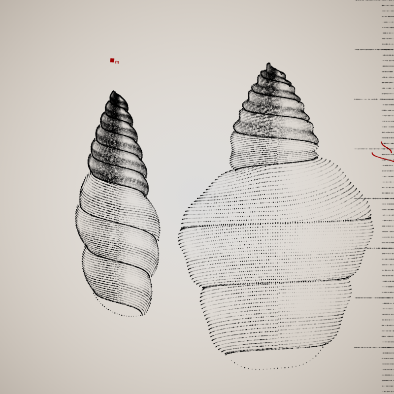 Two Specimen #150 static token preview