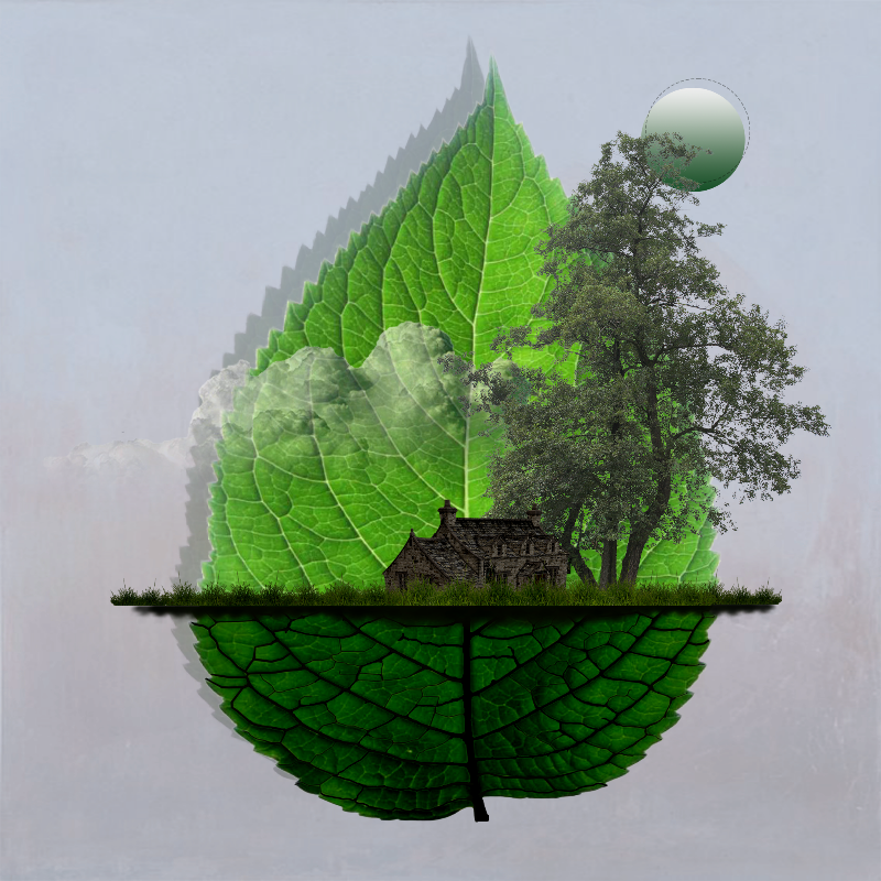 Live in Nature #40 static NFT preview