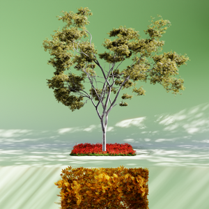 Nature rooms project preview