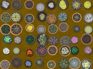 Eternal Spring project preview