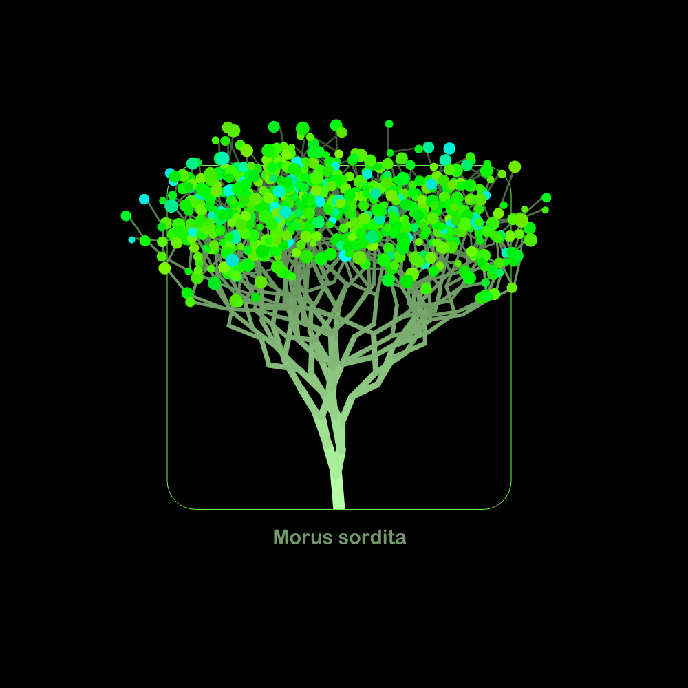 Fluidynamix - Trees #72 static NFT preview