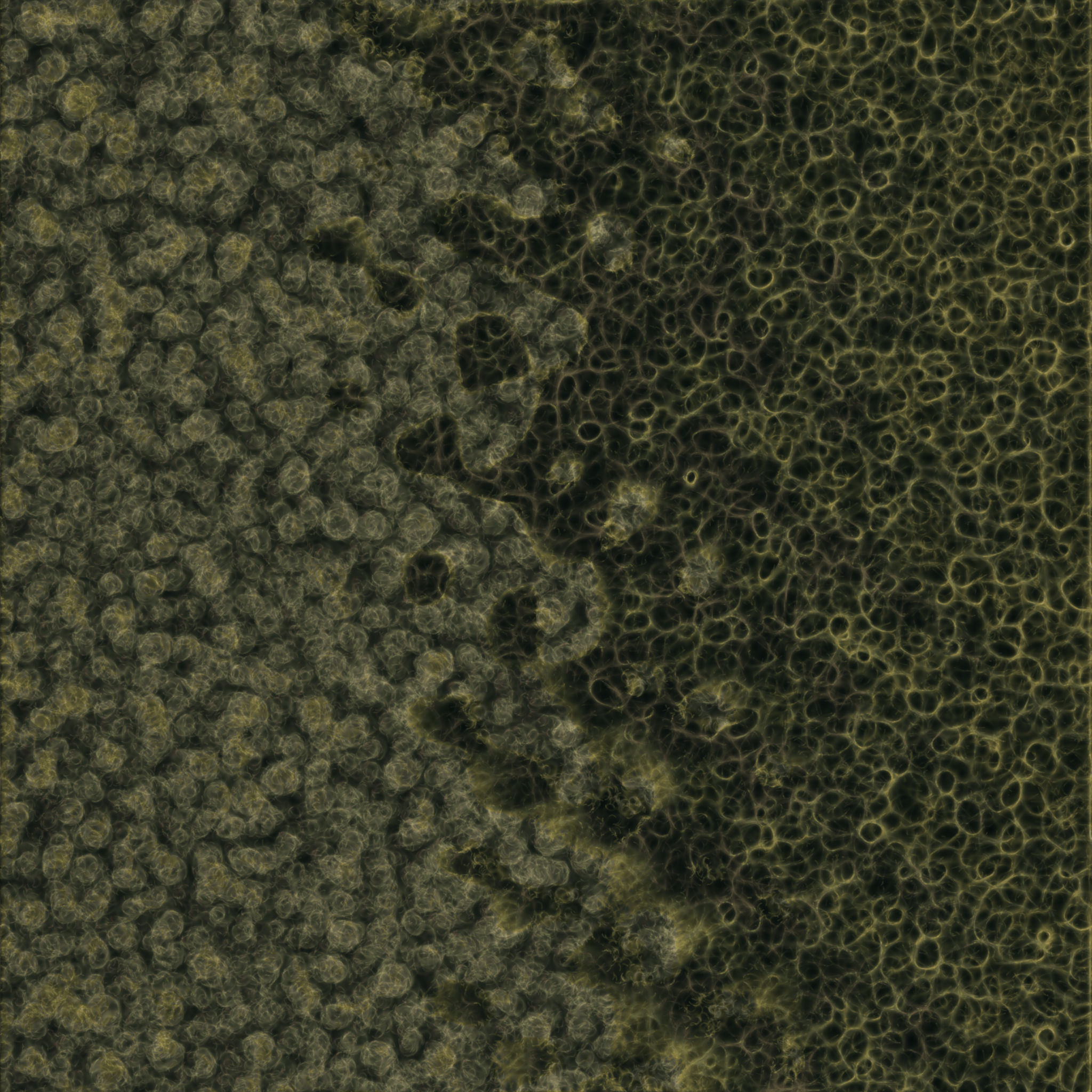 saprophyte #36 static NFT preview