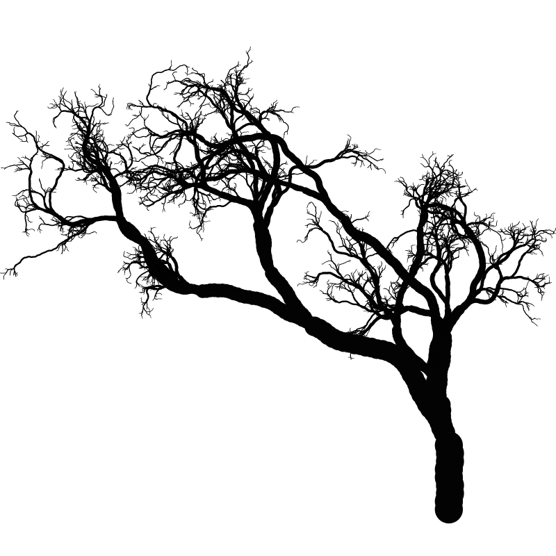 Tree 01 #12 static token preview