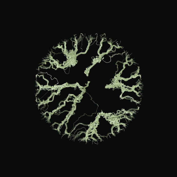 Ginseng #54 static NFT preview