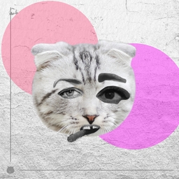 Kittenstein project preview