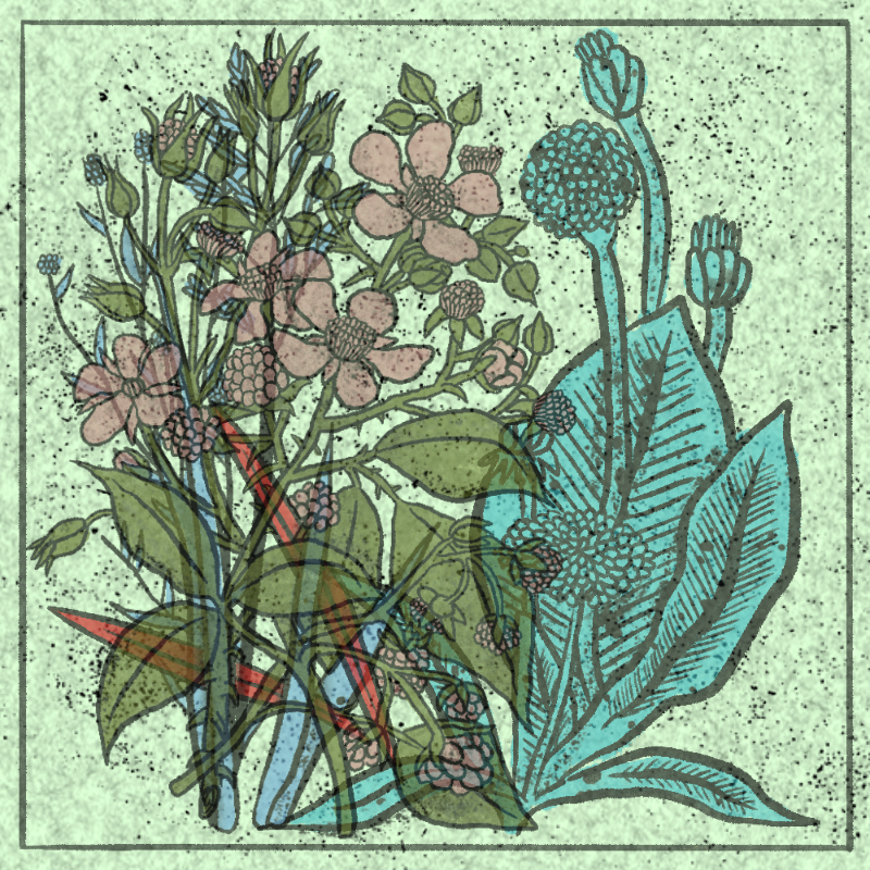 Bouquet #27 static NFT preview