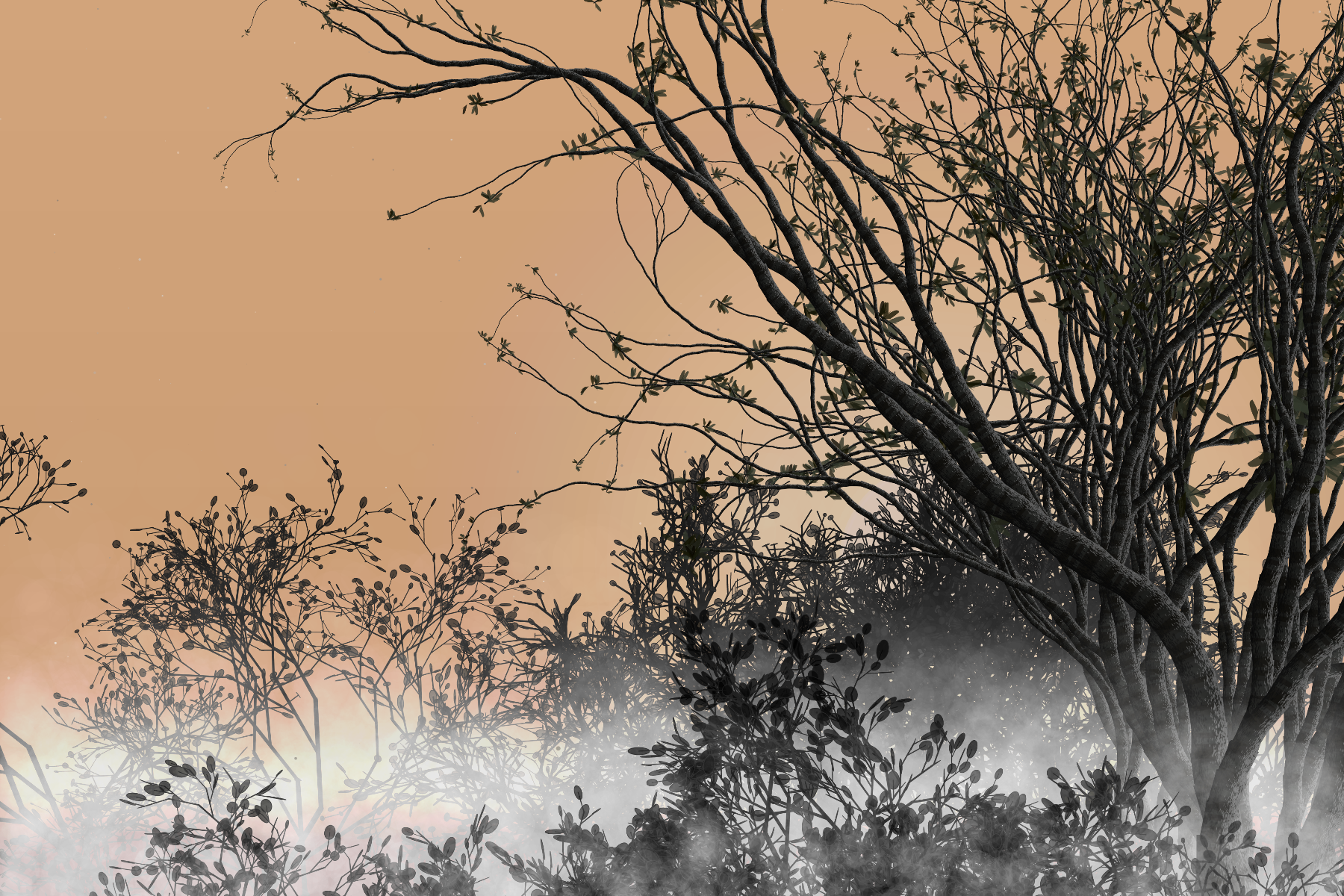 Morning Mist #274 static token preview