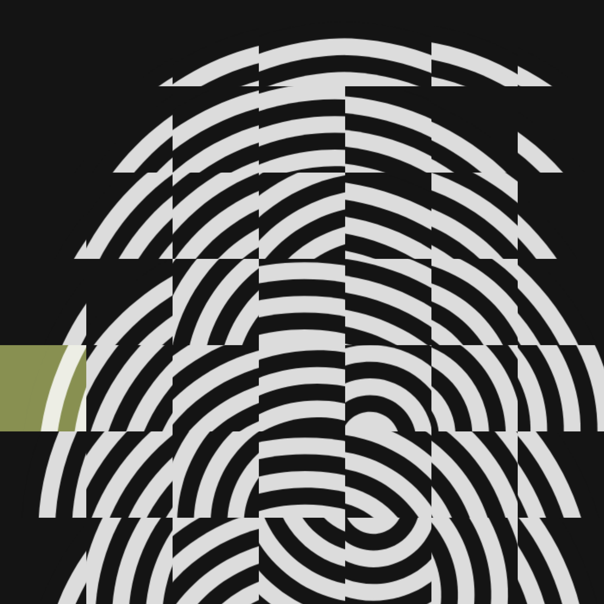 Fragment S1 #32 static token preview
