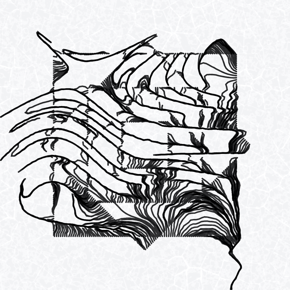 Plottable Field (8 frames) #317 static NFT preview