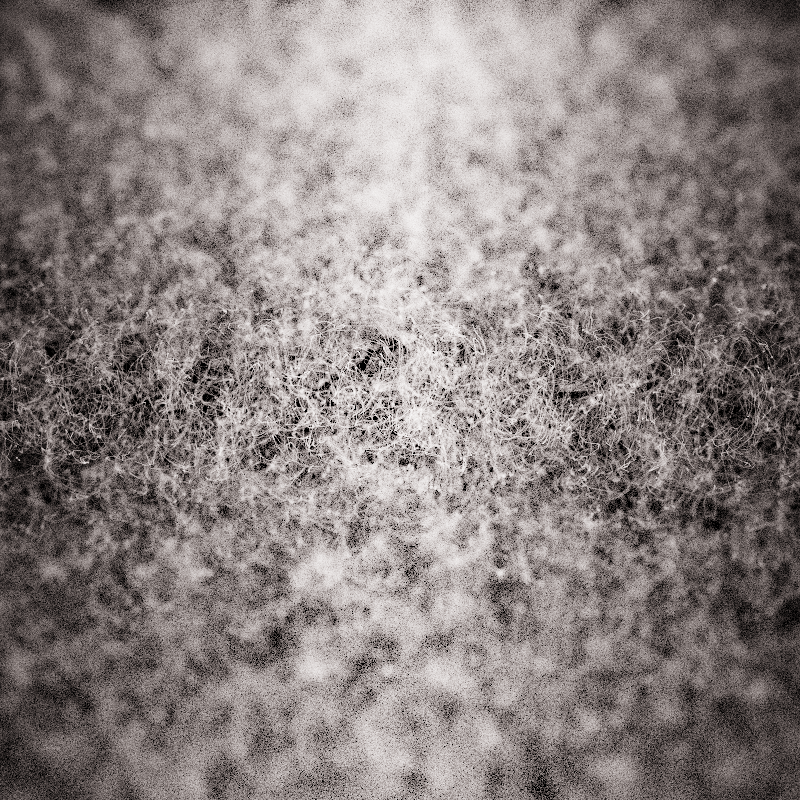 Field of noise #21 static NFT preview