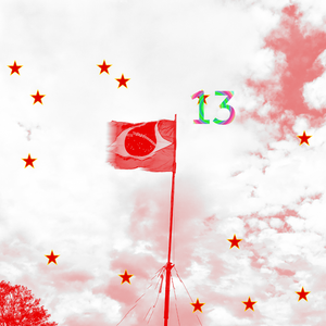 For democracy of Brazil #35 static NFT preview