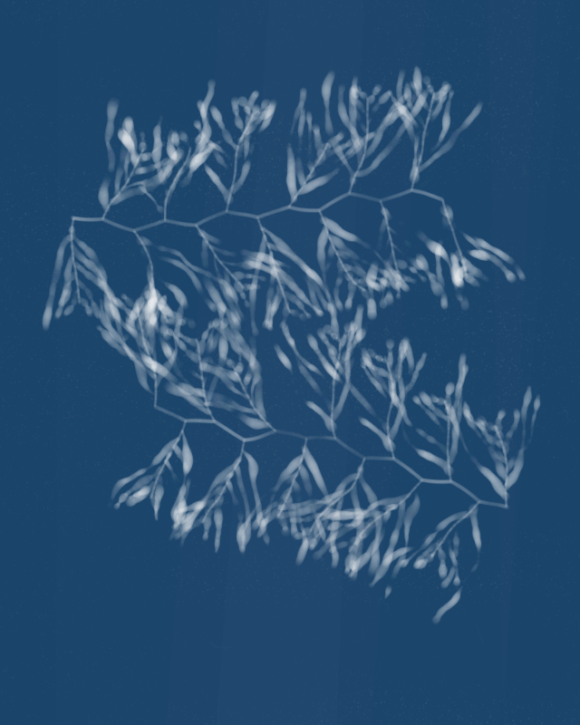 Cyanotypes #129 static NFT preview