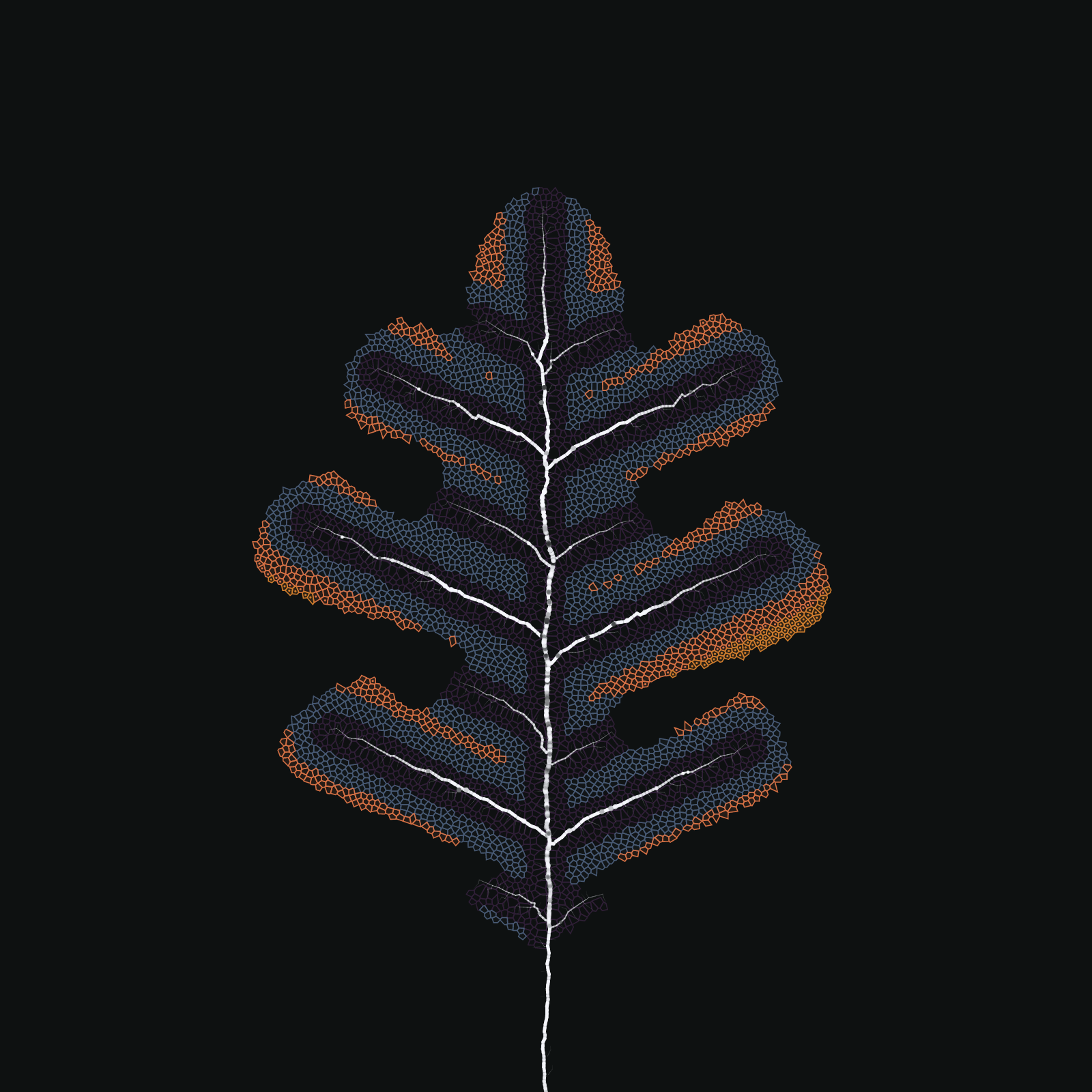Leaf study #34 static NFT preview