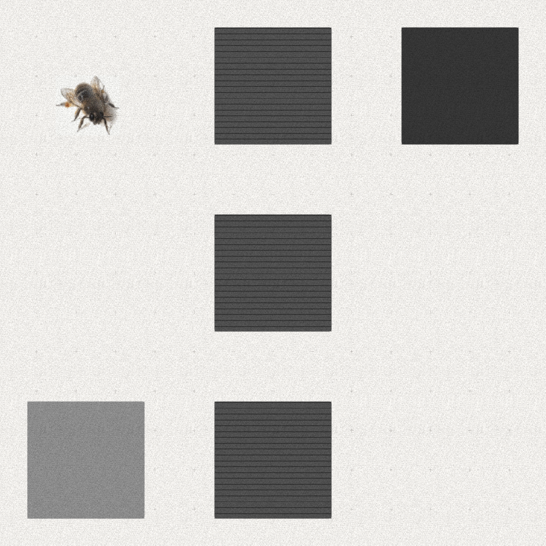 Bee #95 static NFT preview