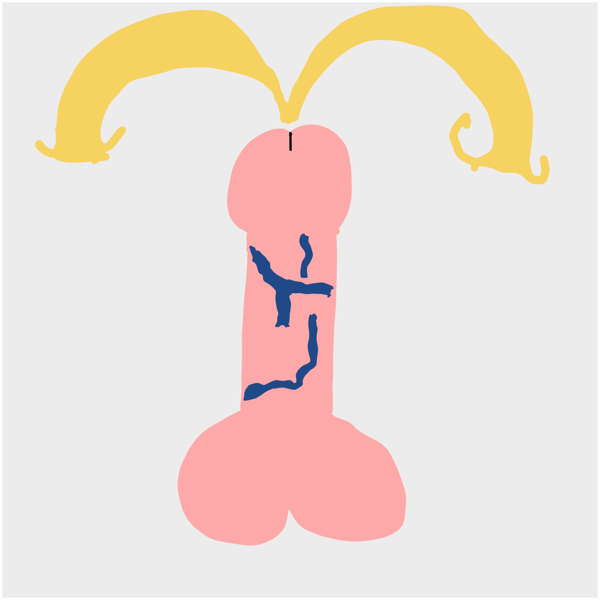 Dickgenerative Art #68 static token preview