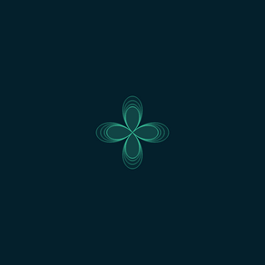 Rosa Polar project preview