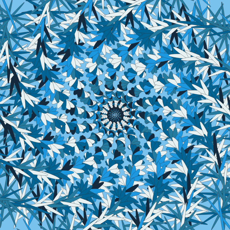 this is a bird #108 static NFT preview
