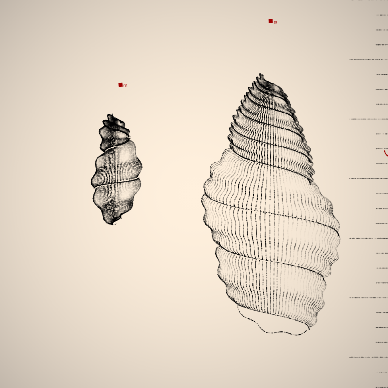 Two Specimen #153 static token preview