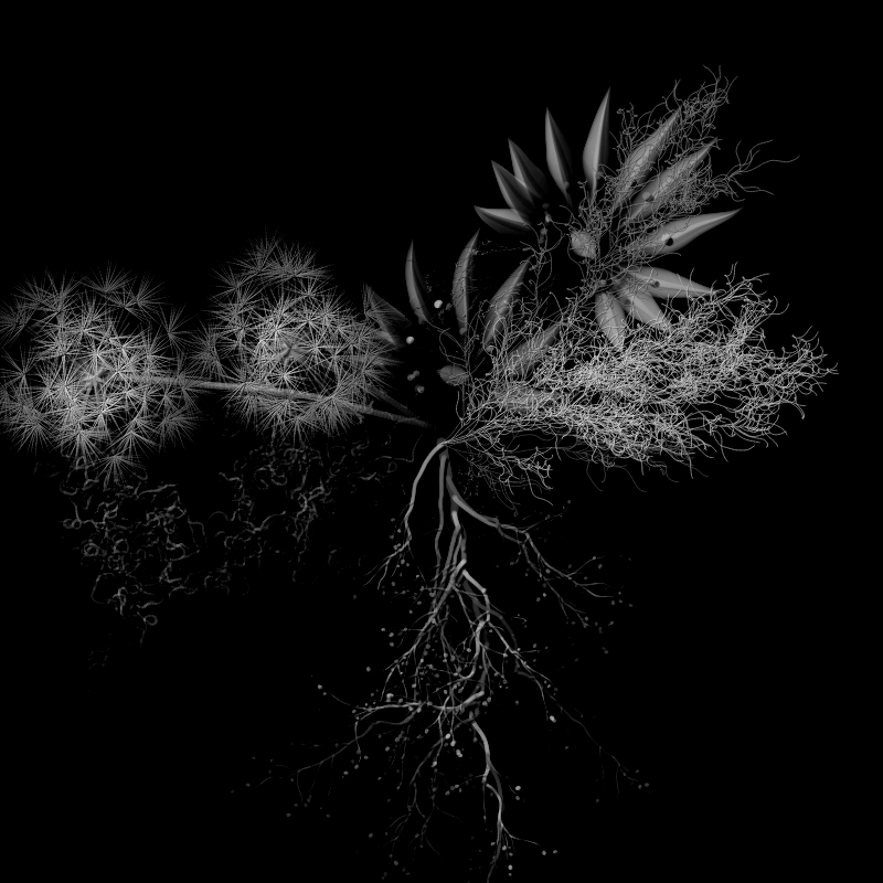 Botanical Ghosts #197 static token preview