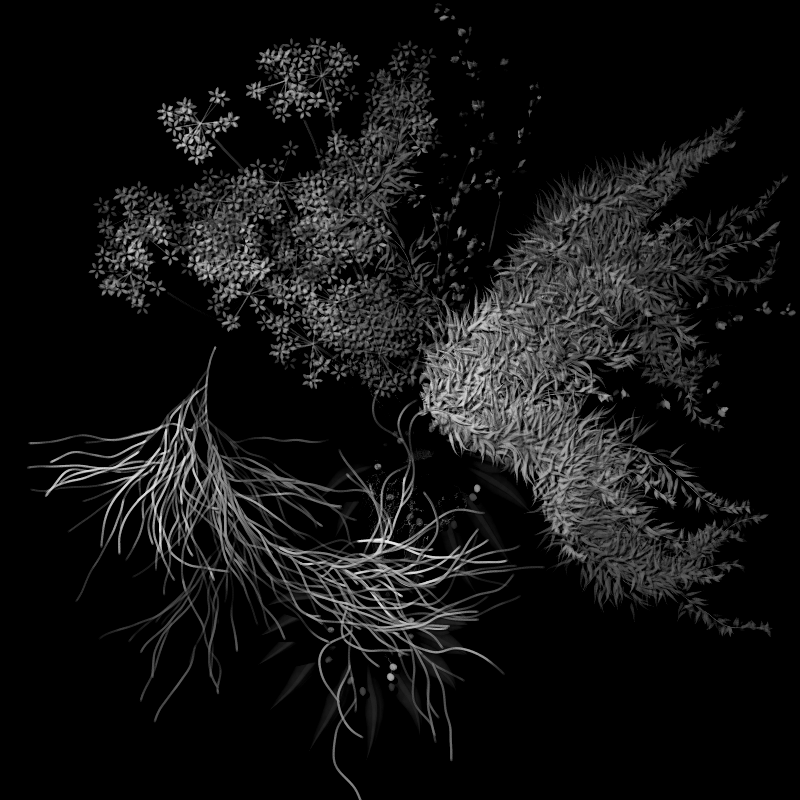Botanical Ghosts #62 static token preview