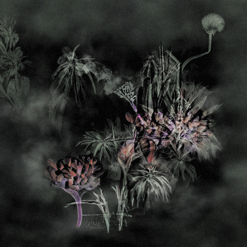 Hauntological Herbarium #39 static NFT preview