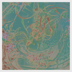 La Fleur project preview