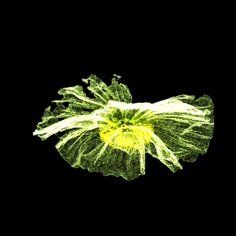 White Poppy 30 #112 static token preview